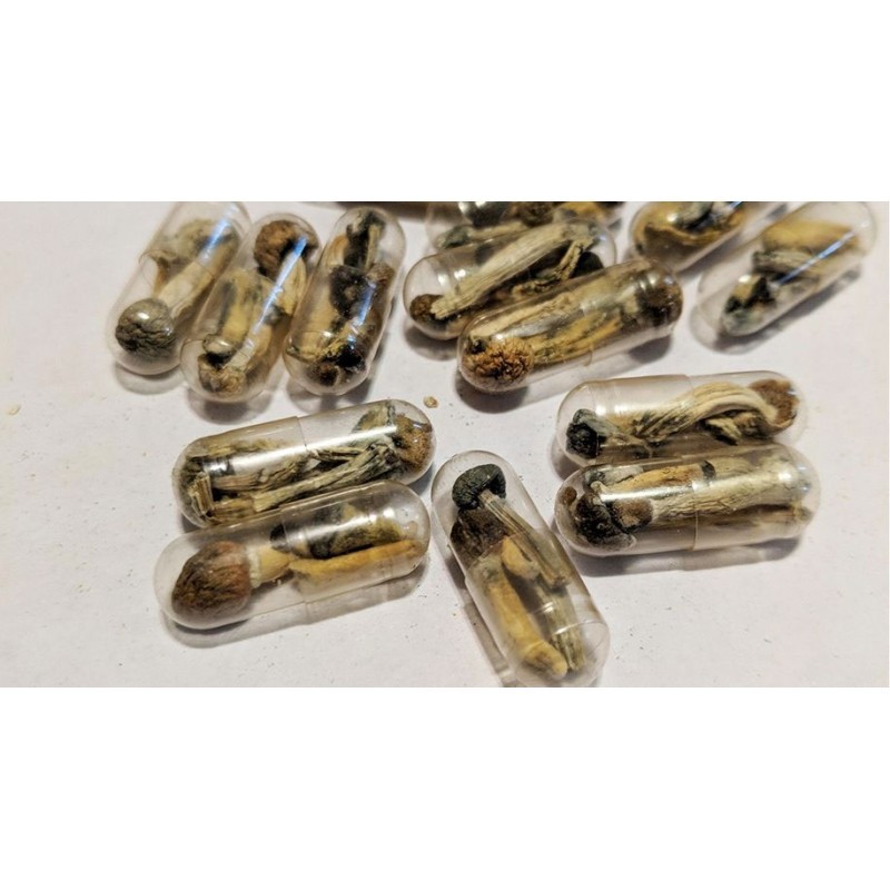 psilocibina en microdosis 0.2 mg